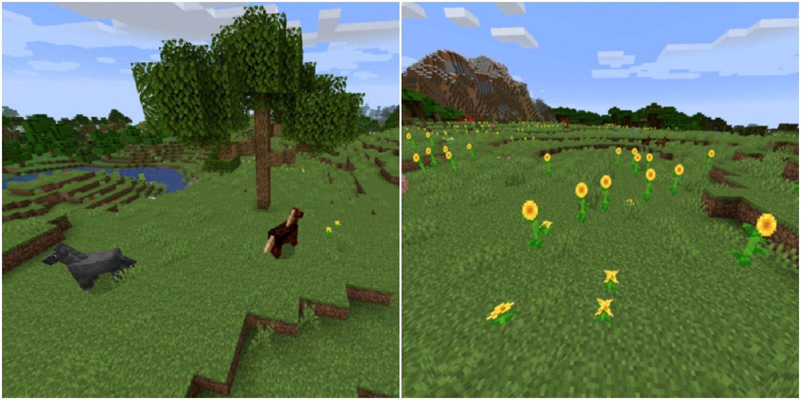 Theory of everything майнкрафт. Майнкрафт равнина. Плейнс майнкрафт. Биом grassland Minecraft. Подсолнечниковая равнина в МАЙНКРАФТЕ.