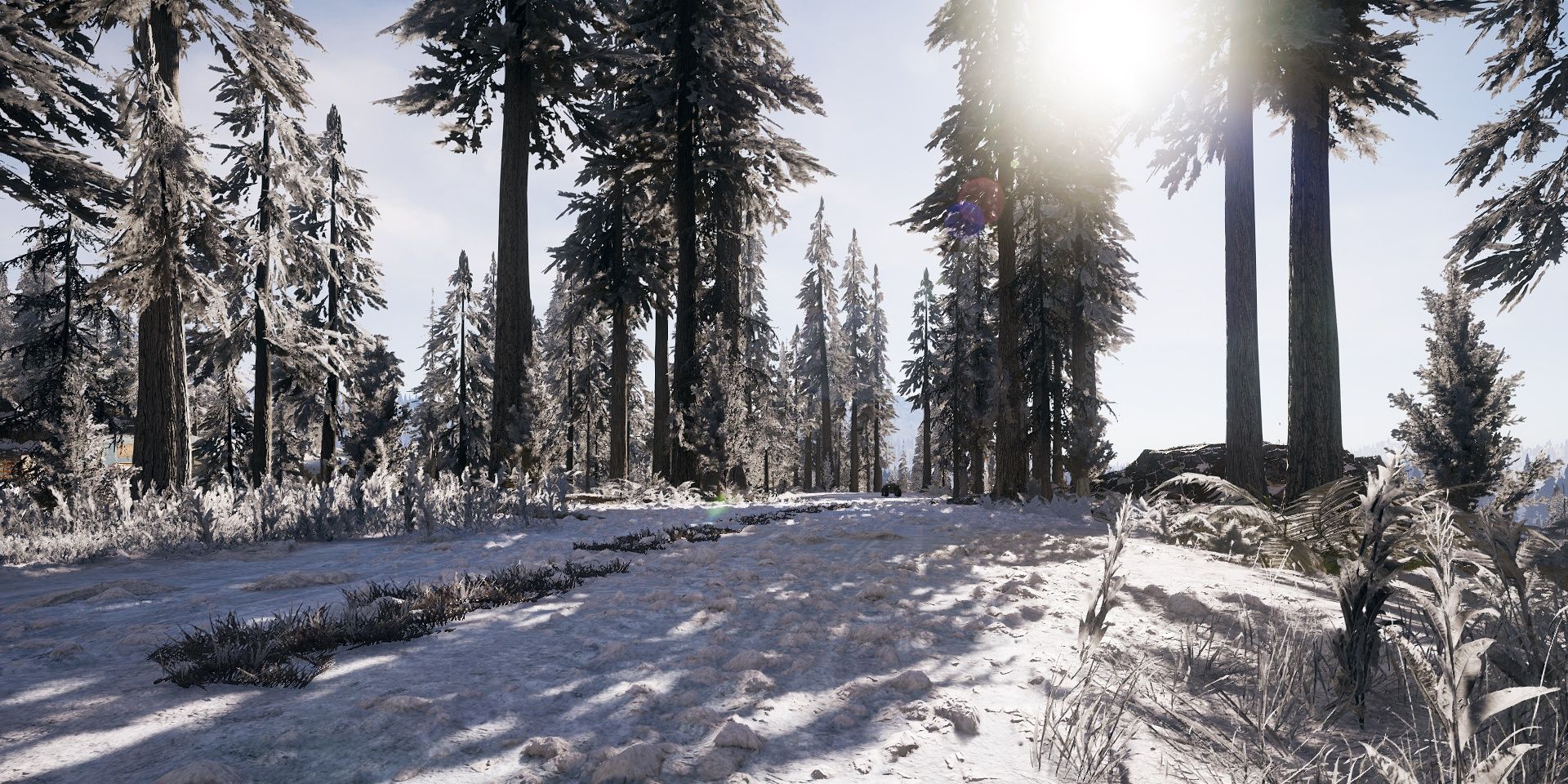 will there be far cry 5 mods